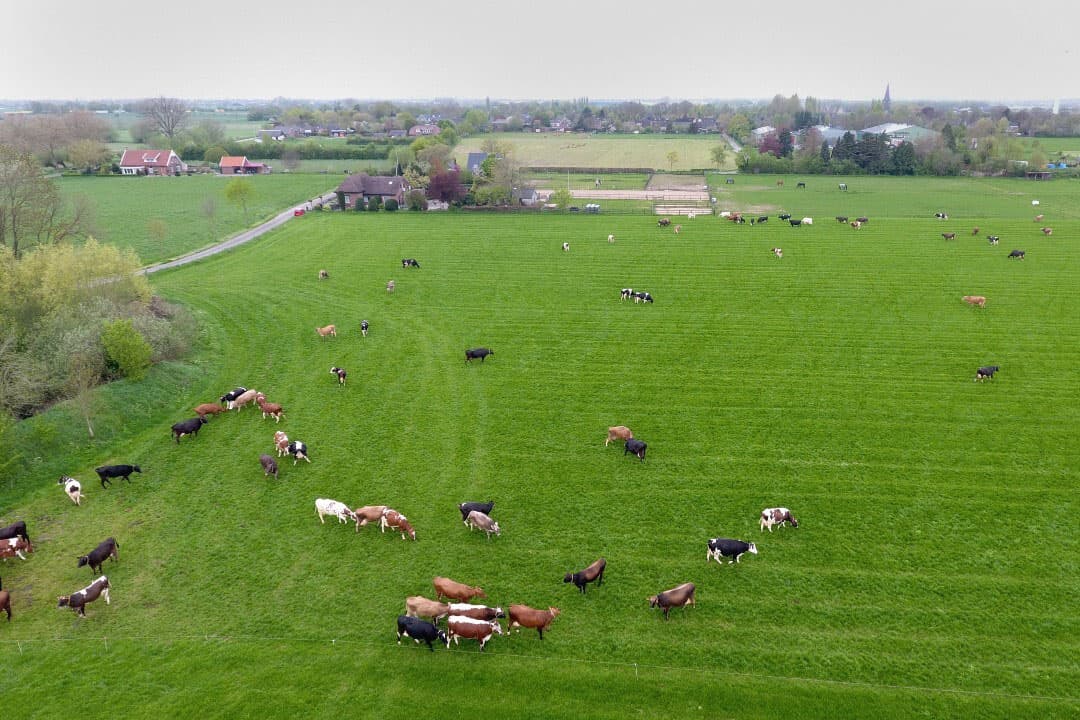 LTO Nederland verzoekt de Kamer de stikstofaanpak en het transitiefonds voort te zetten. De organisatie pleit daarnaast voor duidelijke regelingen voor boeren om gefundeerde beslissingen te kunnen nemen over hun toekomstige bedrijfsvoering. - Foto: Henk Riswick
