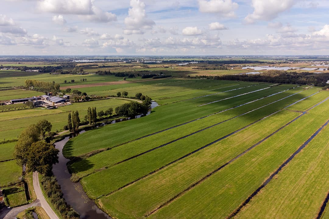 Boerenbedrijf aan de Meije bij de Nieuwkoopse Plassen. In de verte het Natura 2000 gebied Meije Graslanden. - Foto: Herbert Wiggerman