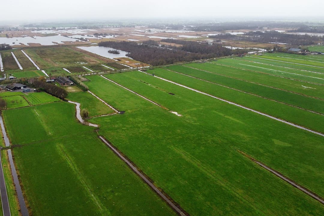 Foto: Herbert Wiggerman