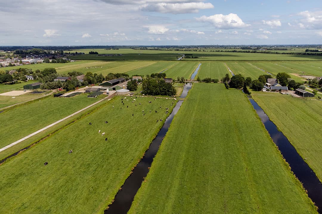 Veenweidegebied bij Natura 2000-gebied dichtbij de Nieuwkoopse Plassen. - Foto: Herbert Wiggerman