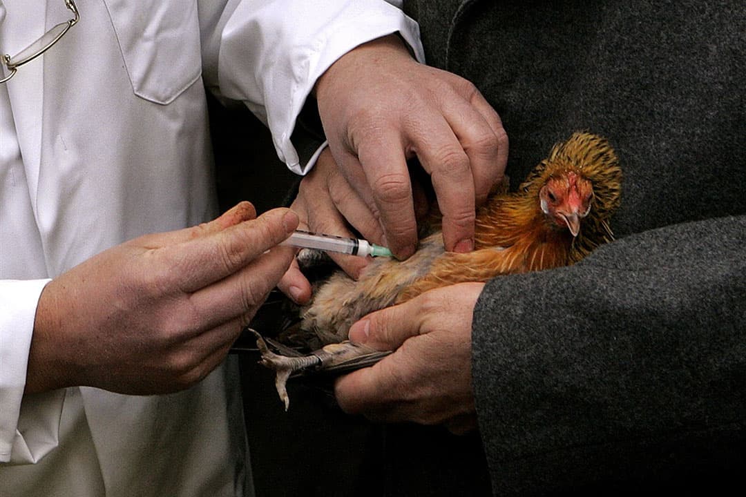Foto ter illustratie. - Foto: ANP/ PHOTO ED OUDENAARDEN