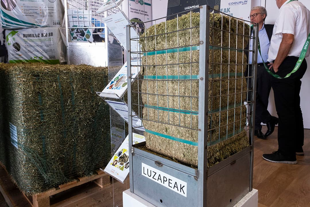 Foeragebedrijf Désialis pakt uit met Luzapeak. Een stalen ruif voor een baal van 20 kilo luzerne. Het aanbieden van gedroogde luzerne is bedoeld om ongewenst gedrag, zoals staartbijten bij gespeende biggen, zoveel mogelijk te voorkomen. De ruif kost iets minder dan € 300 en wordt eenvoudig aan de vloer gemonteerd. De prijs van de gedroogde luzerne varieert, maar schommelt dikwijls tussen € 390 en € 450 per ton. Gemiddeld doet een koppel van twintig biggen acht weken met een baal luzerne van 20 kilo, blijkt uit proeven die het bedrijf deed.