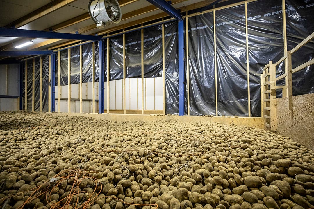 afzetstrategie aardappelen