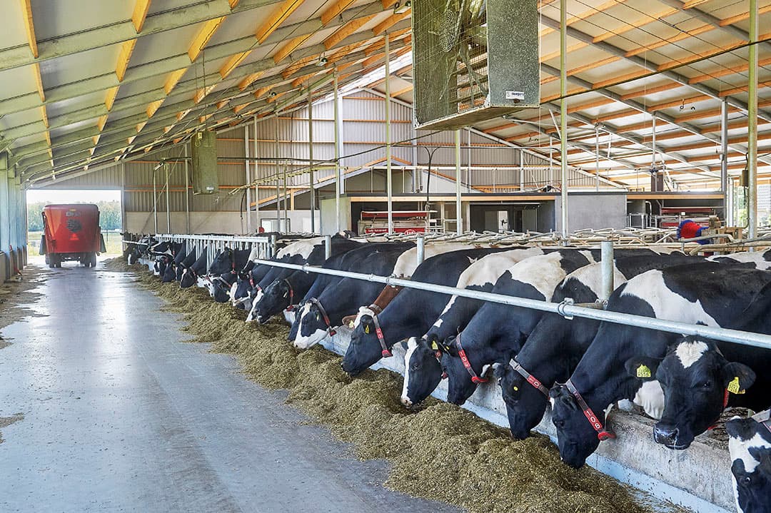 Mede door aanpassing in uitbetaling van vetgehalte door FrieslandCampina loont het om het vetgehalte te verhogen.