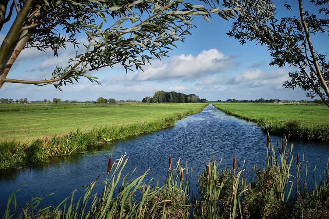 Foto: Roel Dijkstra