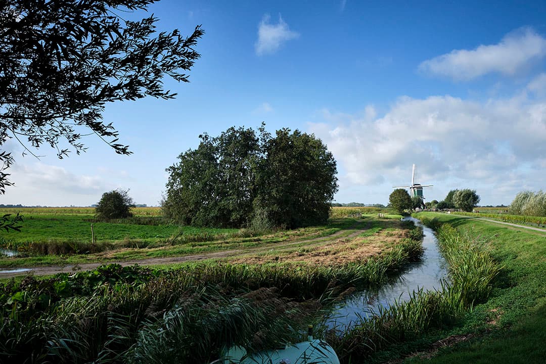 Foto: Roel Dijkstra
