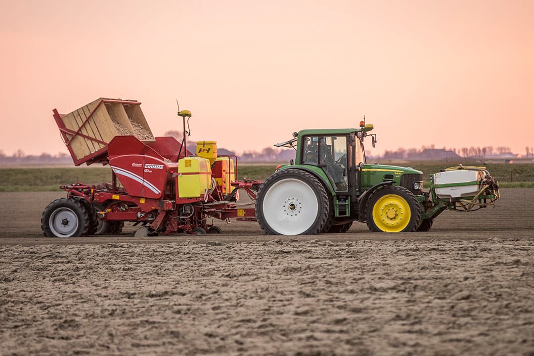 variabel poten aardappelen