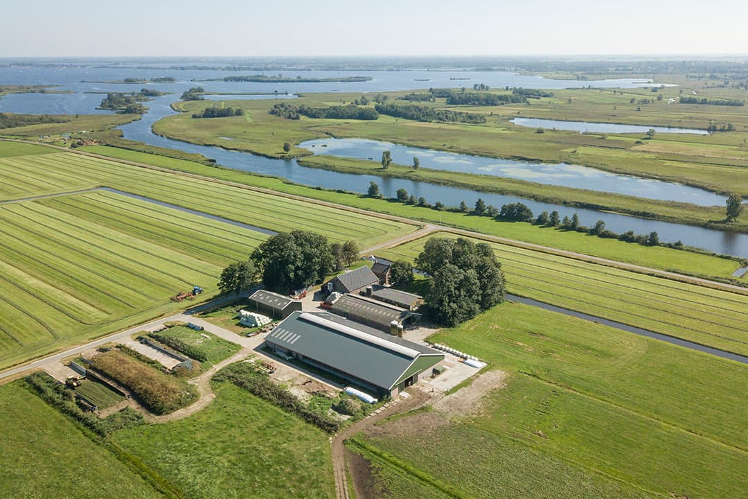 Eenderde van de natuurtypen in Nederland blijkt nog gevoeliger voor stikstof dan gedacht.  Hierdoor zal in 2025 niet 39% van de natuurgebieden voldoende beschermd zijn, maar 29%. Het beleid dreigt hierdoor regionaal strenger te worden. - Foto: Koos Groenewold