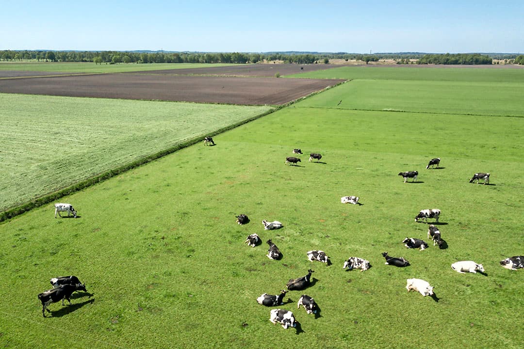 fosfaatrechten openbaar