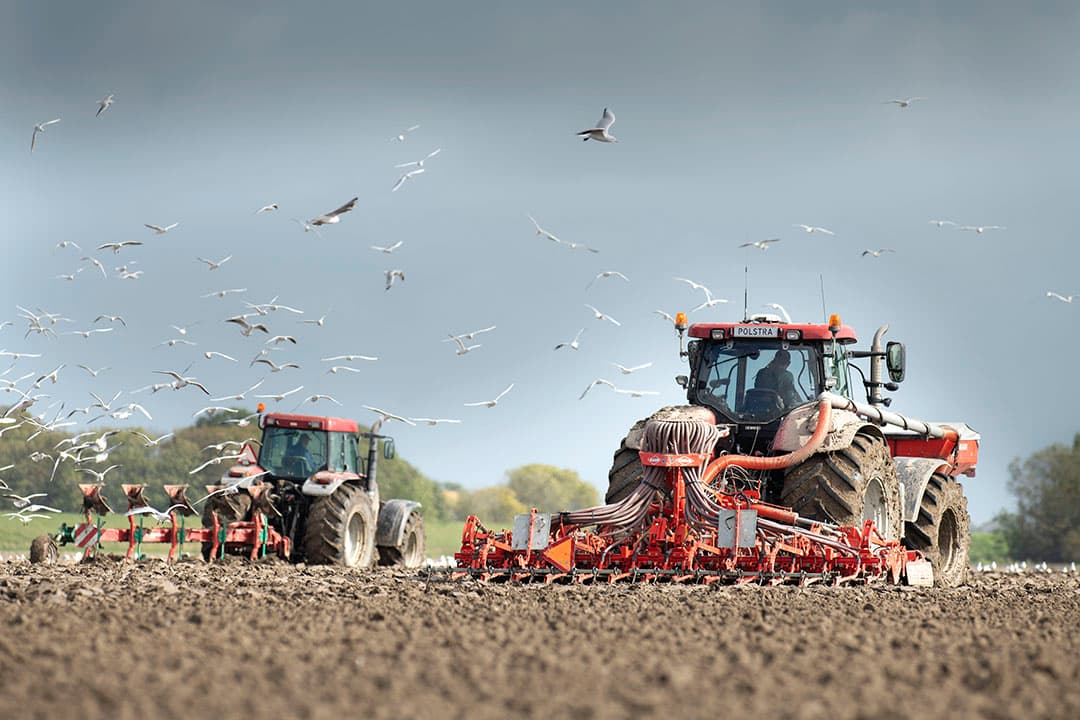 Zaaien van wintertarwe. Met de nieuwe rassen op de aanbevelende rassenlijst kunnen telers gerichter kiezen voor het,  voor hun situatie, meest geschikte wintertarwe ras. - Foto: Mark Pasveer