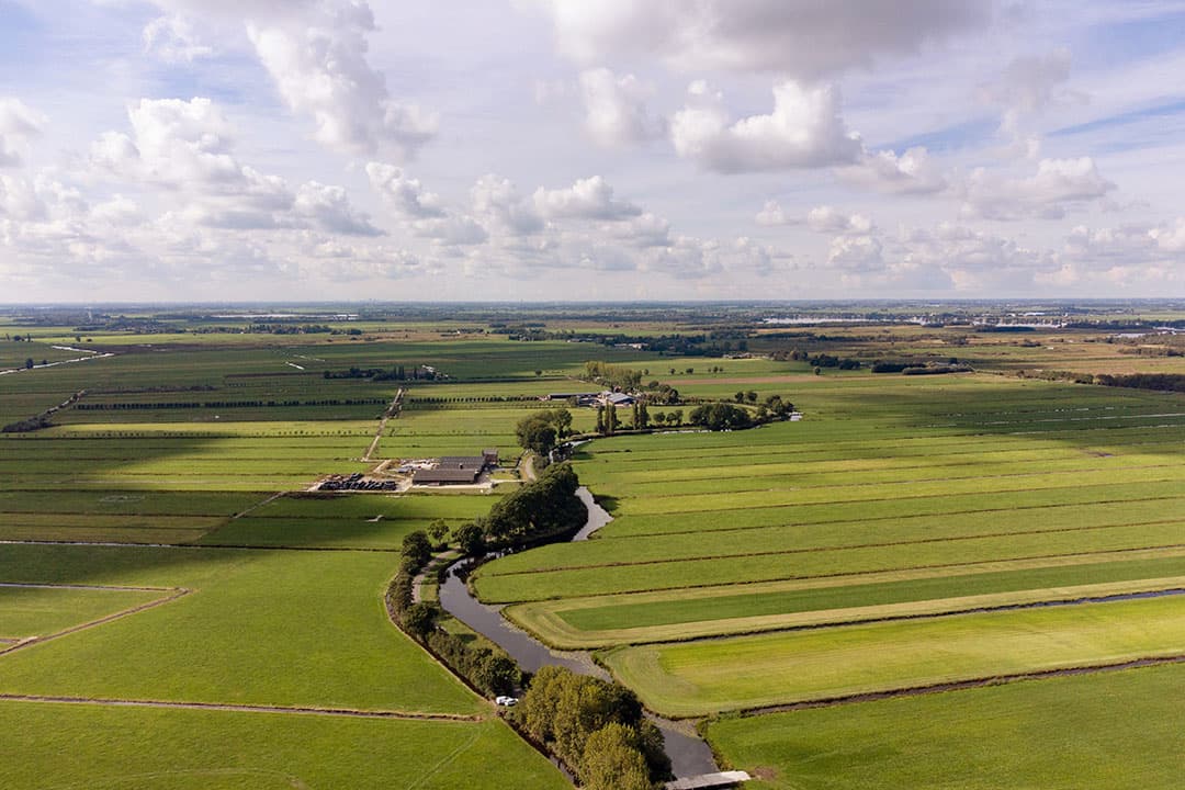 veehouderij