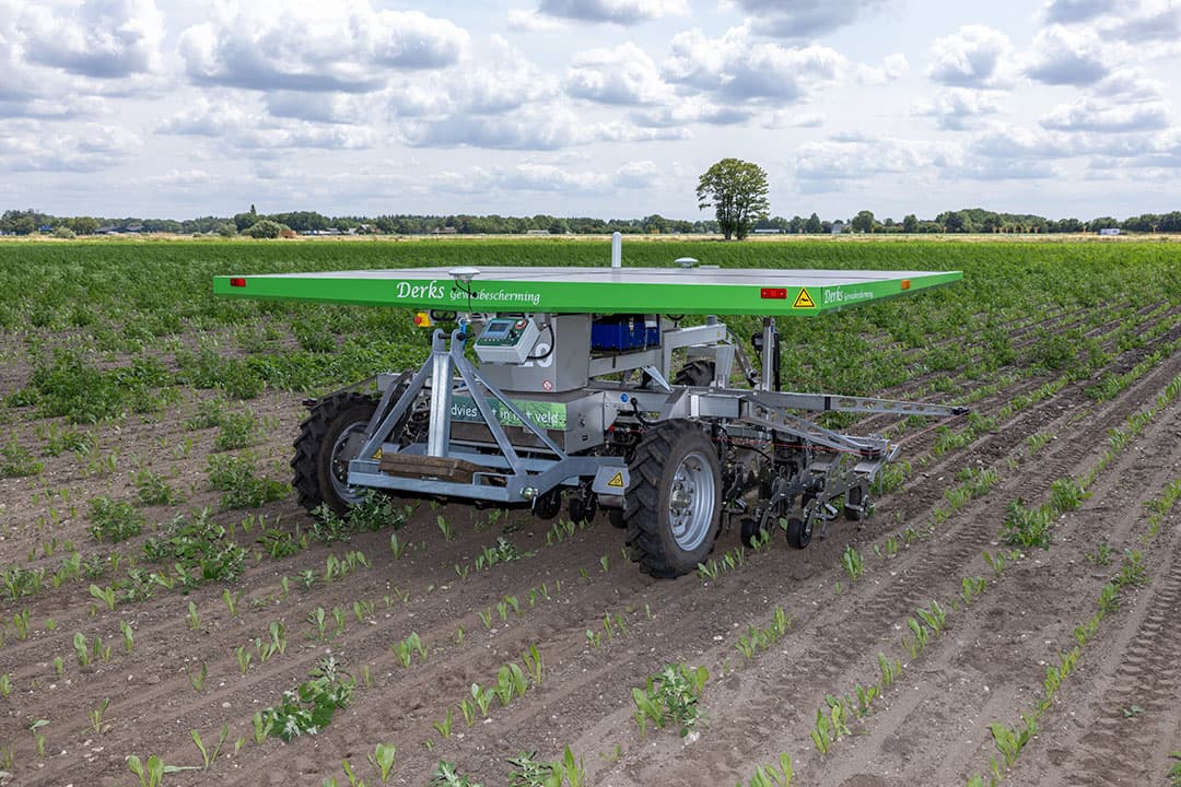 Sensus biedt via het initiatief ‘Groeikracht Cosun’ telers de mogelijkheid om een FarmDroid grotendeels voor te financieren. - Foto: Peter Roek