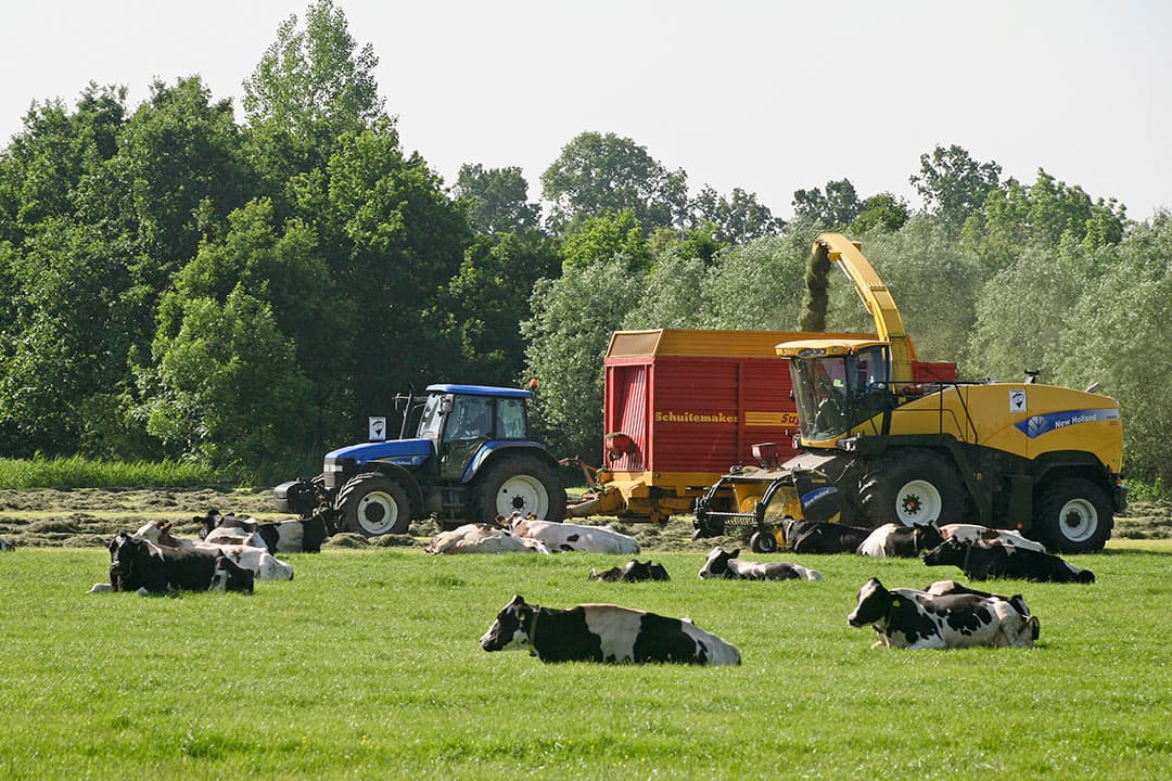 LTO kiest voor een nieuwe koers, met een focus op een gebalanceerde krimp van de veestapel. - Foto: Ton Kastermans Fotografie
