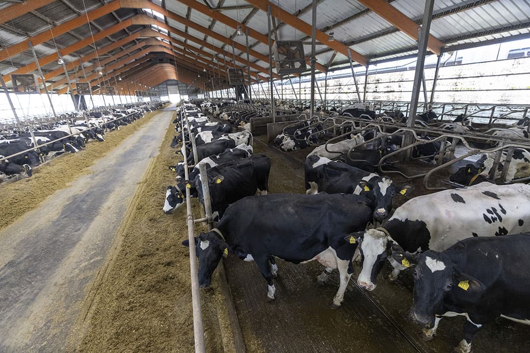 veehouderij MBO Aeres