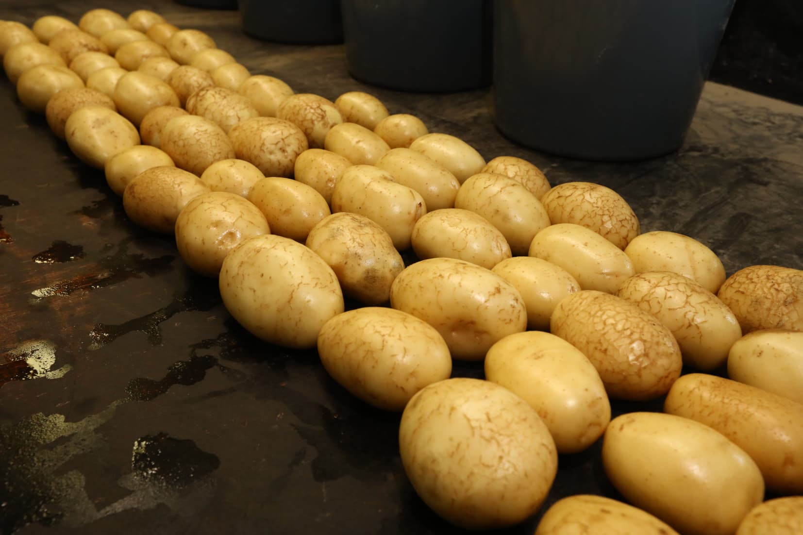 fritesaardappelen