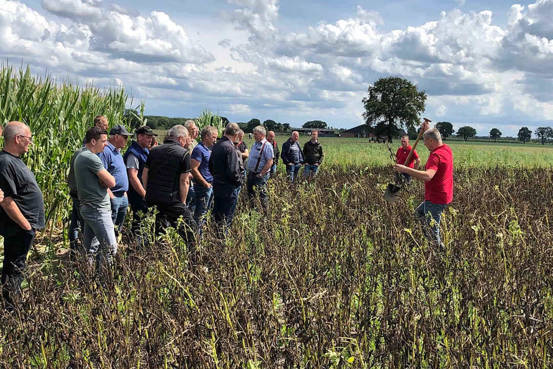 Op de studiedag kwamen 25 telers uit Zuid-Nederland bijeen om de ervaringen van de laatste seizoenen met elkaar te delen.  - Foto's: Bas van Hattum