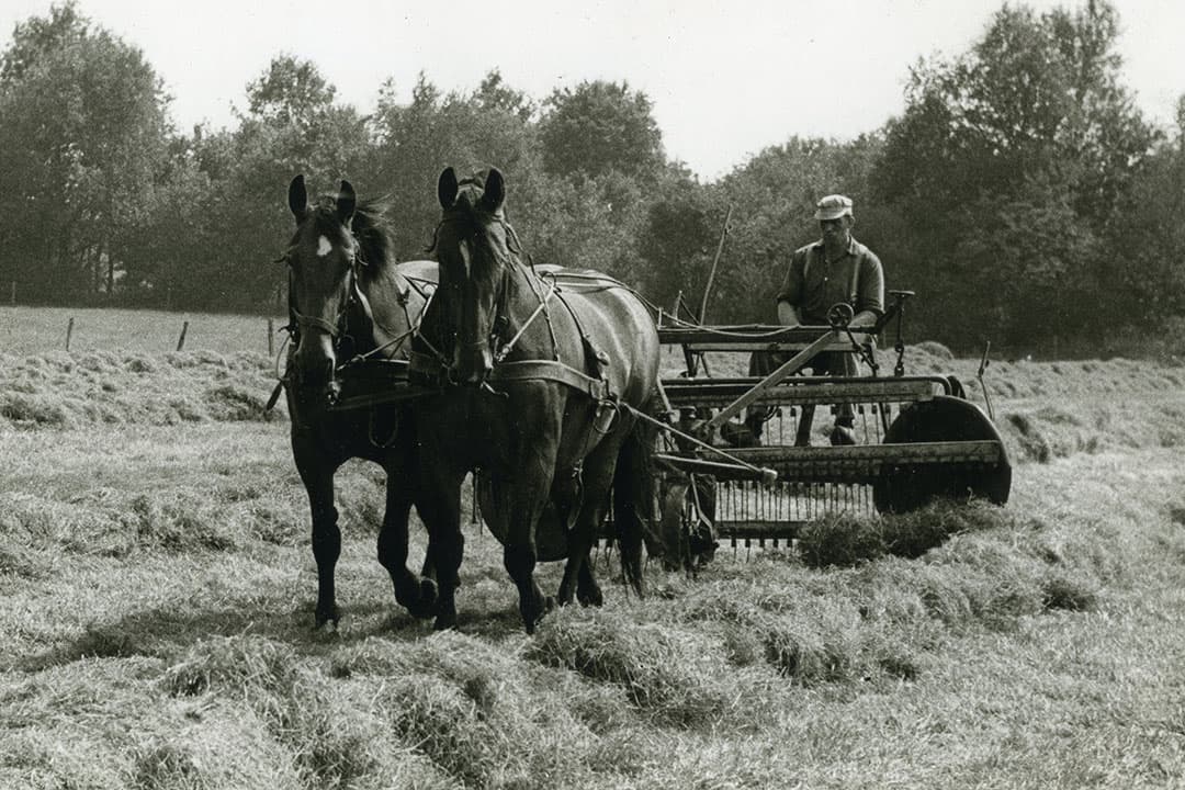 Op de foto een werktuig uit de categorie harkschudders. - Foto: Misset