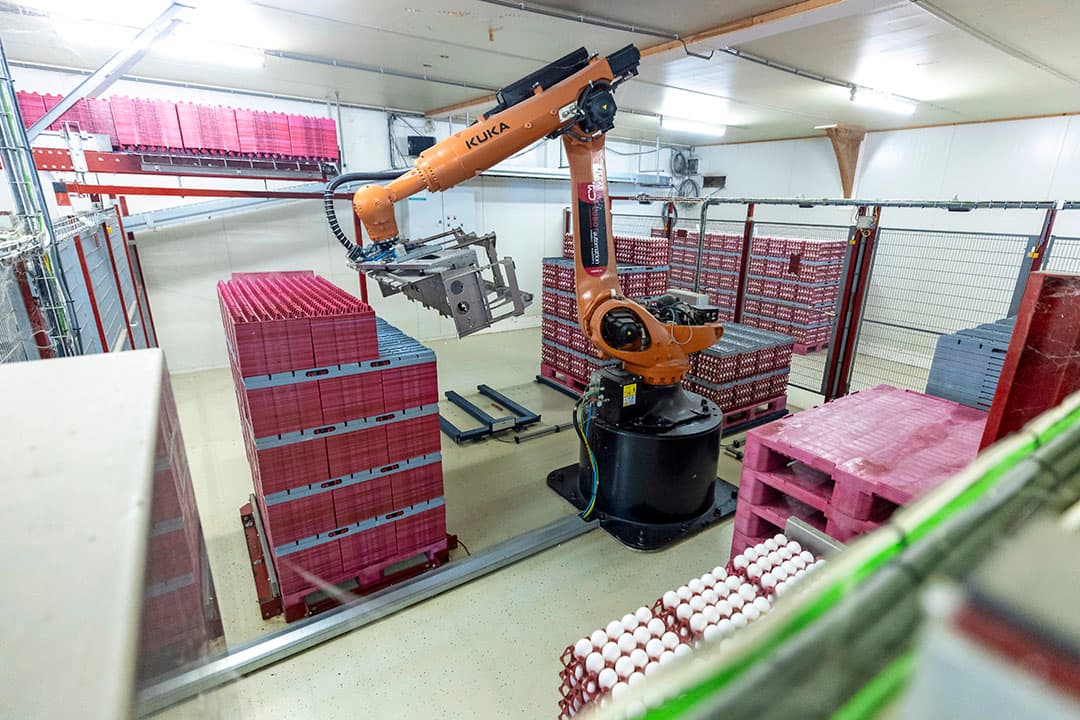 Uit een inventarisatie van Pluimveehouderij komt het beeld naar voren dat veel pluimveehouders niet met eigen inkoop- en verkoopvoorwaarden werken. - Foto: Koos Groenewold