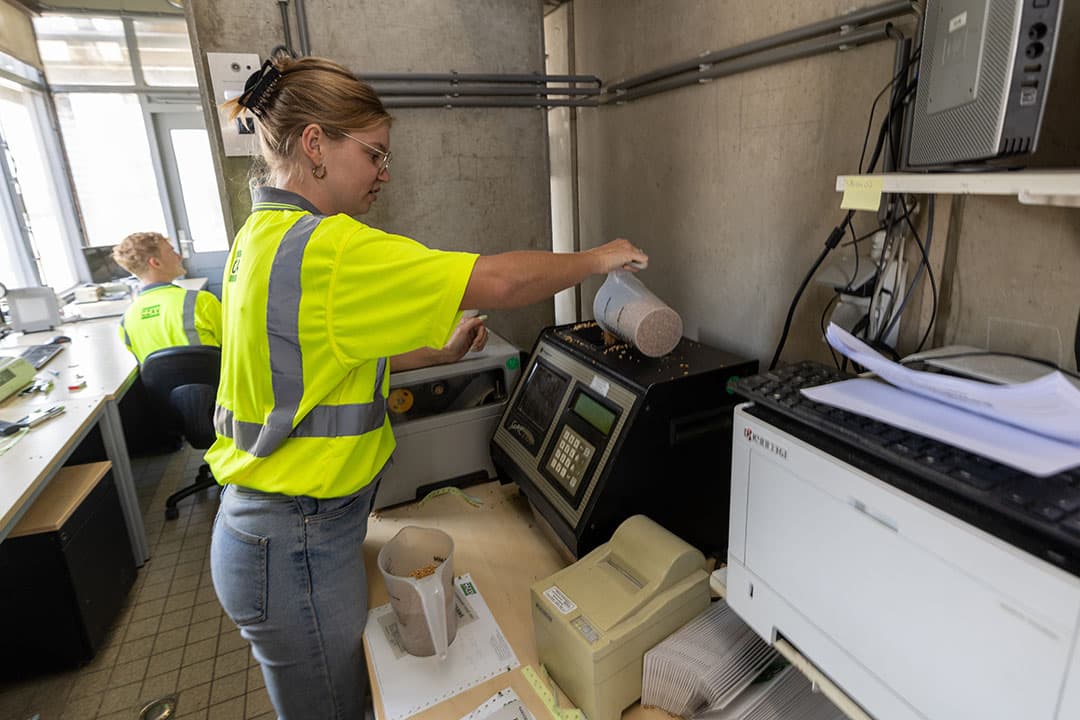 De eerste vracht van een perceel bij de locatie Dinteloord van CZAV. 16,5% vocht. Hectolitergewicht 81,9. Voor dit jaar best hoog. Met de dreiging van regen werd in het zuidwesten vorige week niet meer op het laatste procent vocht gewacht. - Foto: Peter Roek