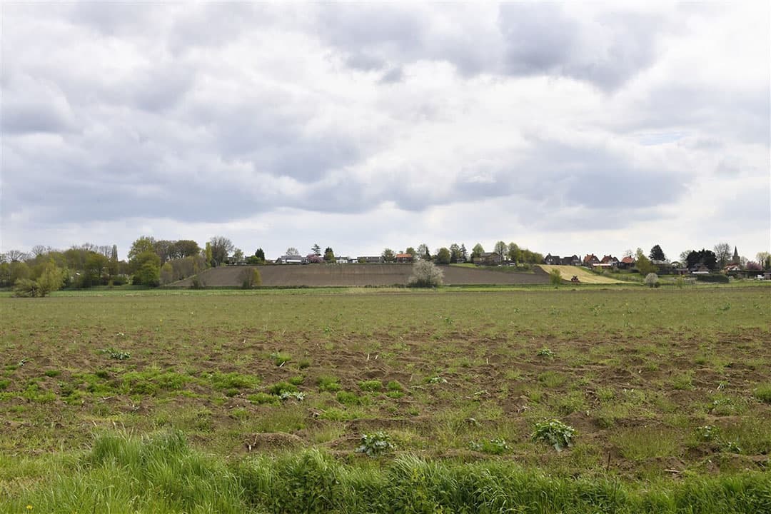 Langs de grens van West-Brabant met Zeeland en Vlaanderen ligt het natuurgebied de Brabantse Wal. De bouw van een nieuwe ethaankraker in de haven van Antwerpen zou op dit gebied stikstofdepositie veroorzaken.  - Foto: ANP