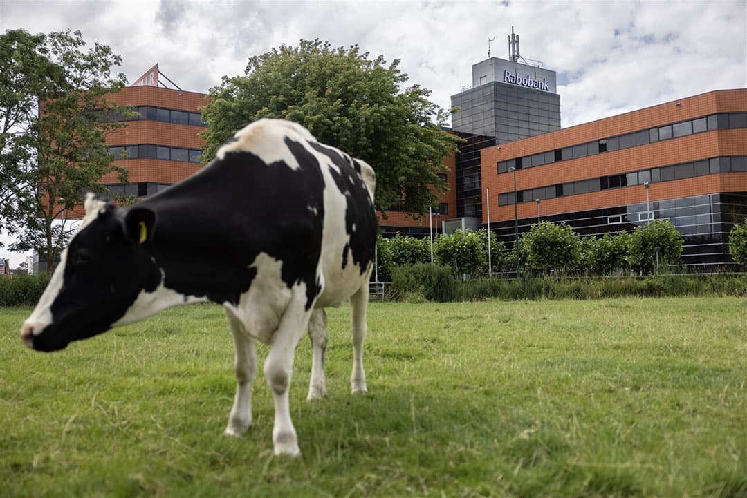 Waar de bank tot nu toe kijkt naar de financiële haalbaarheid van plannen, gaat de bank straks ook kijken naar waar een bedrijf nu staat op het gebied van duurzaamheid en welke stappen er gezet kunnen worden. - Foto: ANP