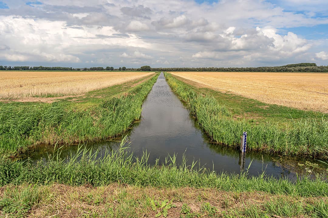 De stapeling van regels over bufferstroken en teeltvrije zones zorgt voor veel onduidelijkheden voor zowel boeren als toezichthouders, constateert de Raad van State. – Foto: ANP