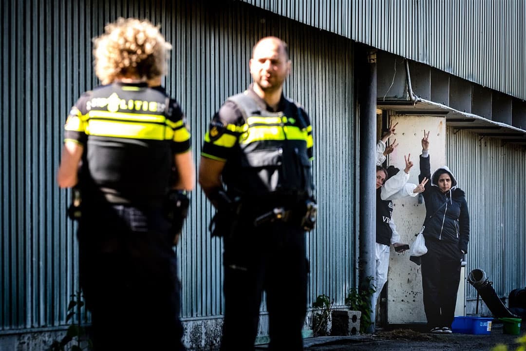 13 mei 2019; dierenactivisten bezetten een boerderij in Boxtel (N.-Br.) en demonstreren voor een beter welzijn van dieren in de veehouderij. - Foto: ANP