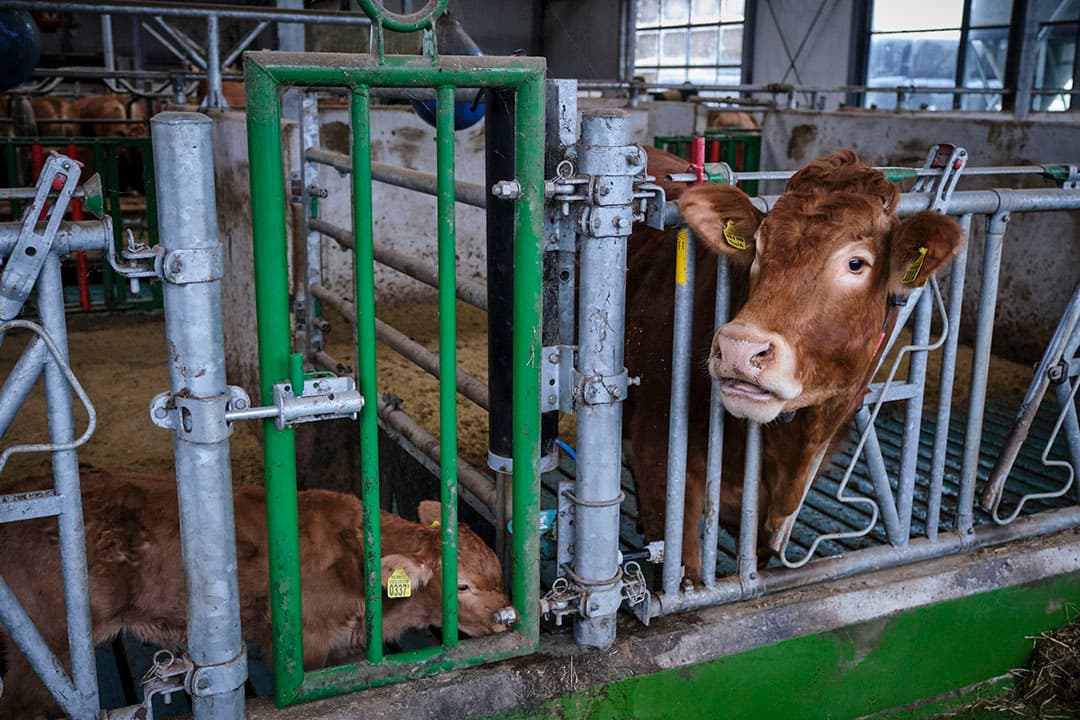 Foto: Roel Dijkstra