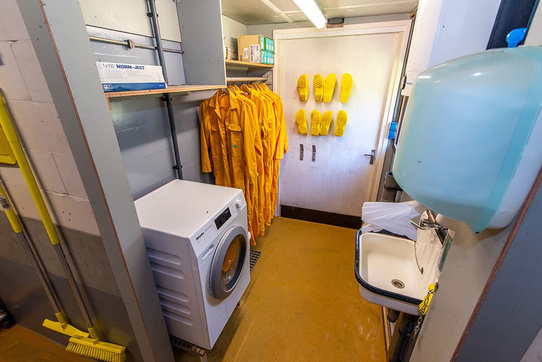 Investeren in hygiënemaatregelen om de winst te drukken, levert ook weer voordeel op. Voor een betere hygiëne op het varkensbedrijf zijn er veel maatregelen te nemen. - Foto: The Schippers Group