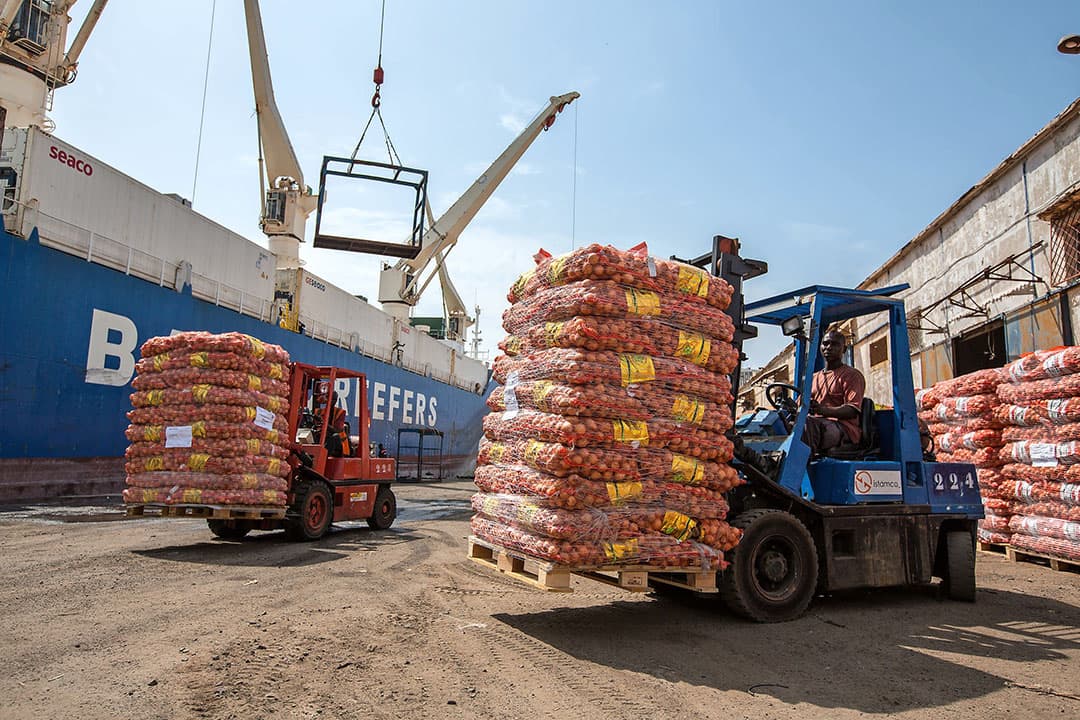 Nederlandse uien worden gelost in de haven van Dakar. De uien worden op vrachtwagens geladen naar opslagplaatsen of vervoerd naar het achterland. - Foto's: JPB Beemsterboer