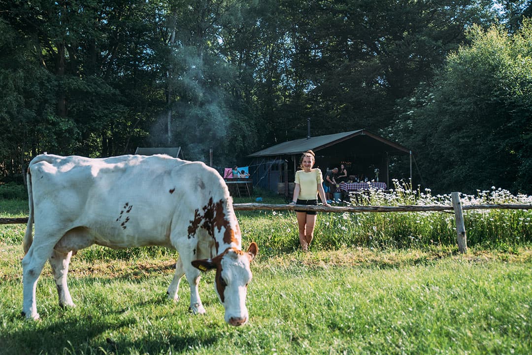 Foto's: Boerenbed
