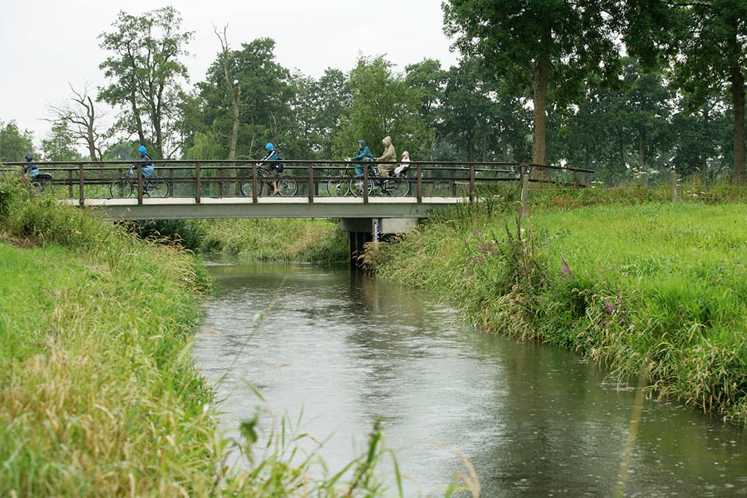 Over het algemeen is de droogtesituatie in Nederland verbeterd dankzij recente neerslag en maatregelen die zijn genomen. - Foto: Jan Willem Schouten