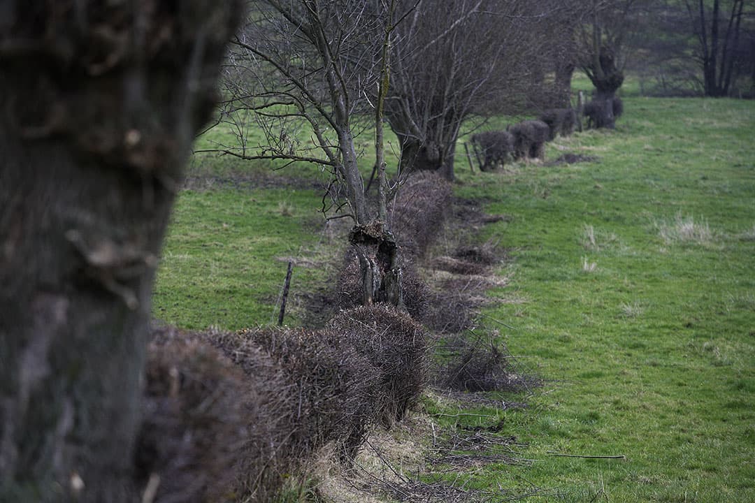 duurzaamheid klimaatregels boeren