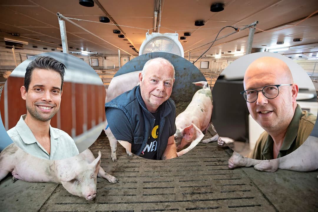 Varkenshouders