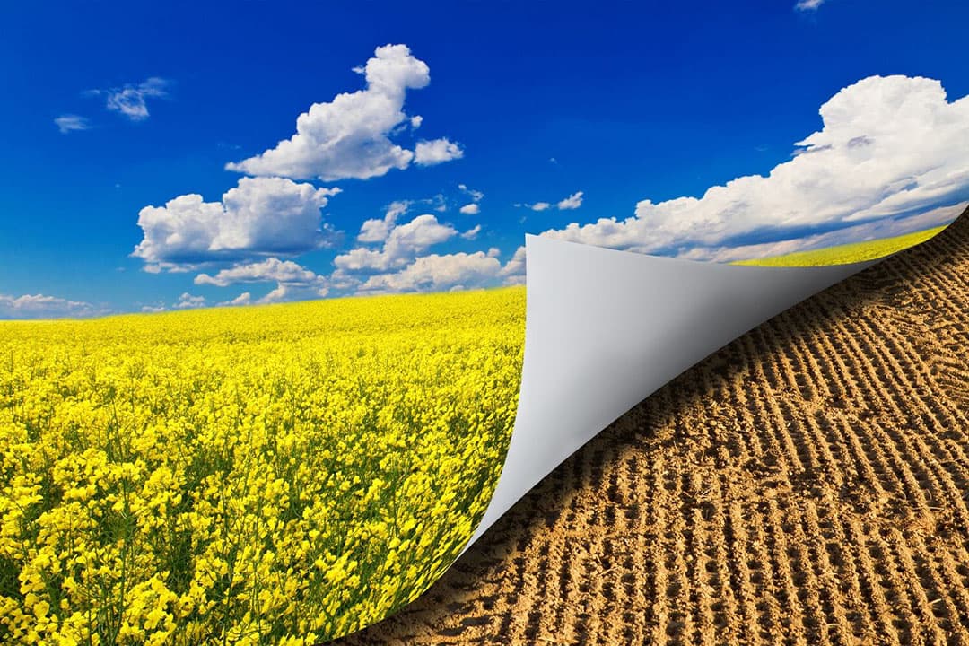 Door druk van actiegroepen, politiek en wetenschap leidde de groeiende focus op klimaat, natuur en dierenwelzijn tot nieuwe, vaak als lastig ervaren, Europese en nationale wetgeving, aldus Vergaderboer.  - Foto: Canva