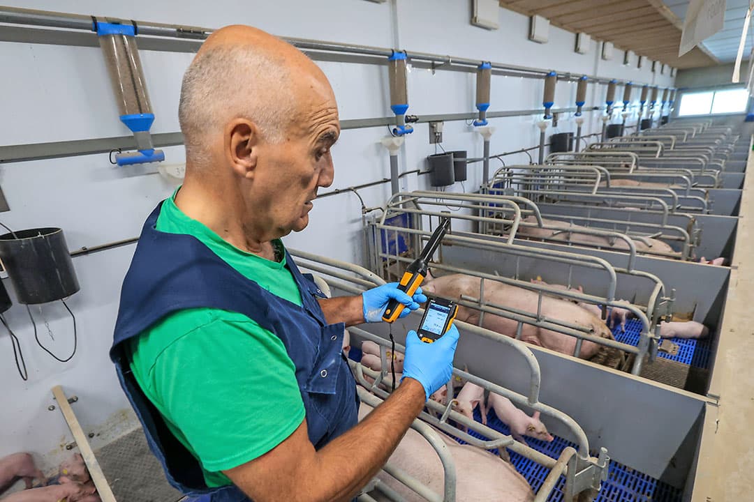 Op meerdere plaatsen worden gegevens verzameld om het klimaat te sturen. De plaats van de temperatuurvoeler is bepalend voor een correcte werking. Met stalmetingen is de werking te controleren. - Foto's: Bert Jansen