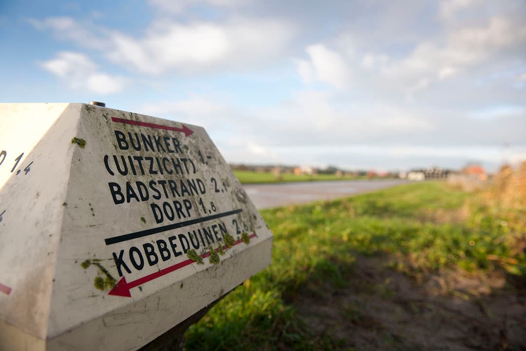Foto: Mark Pasveer