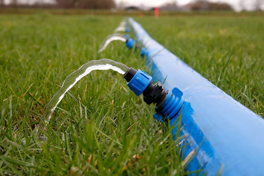 Binnen het project ‘Elke druppel de grond in’ is afgelopen jaren ervaring opgedaan met bevloeien. Daarmee wordt tijdens de wintermaanden water met uitvloeislangen over de grond gebracht. Daardoor krijgt het de tijd om geleidelijk in de grond te trekken en het grondwater te verhogen. - Foto: Hans Prinsen
