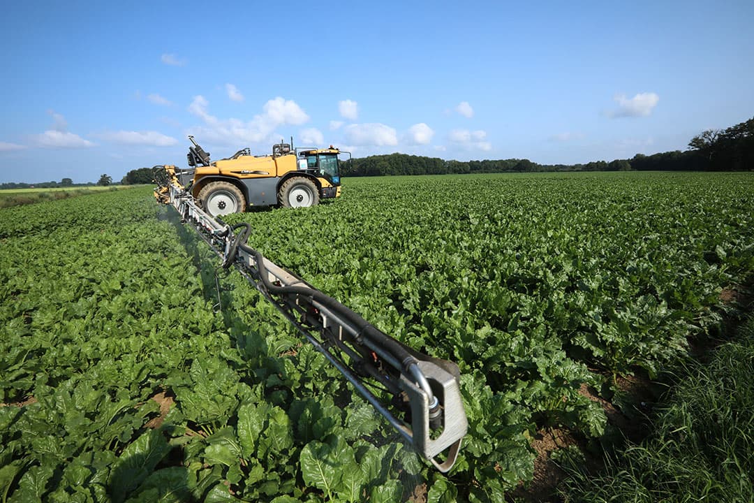Spuiten tegen bladschimmels op een perceel suikerbieten. Op tijd beginnen is cruciaal om de schimmels onder controle te houden. -  Foto: Henk Riswick