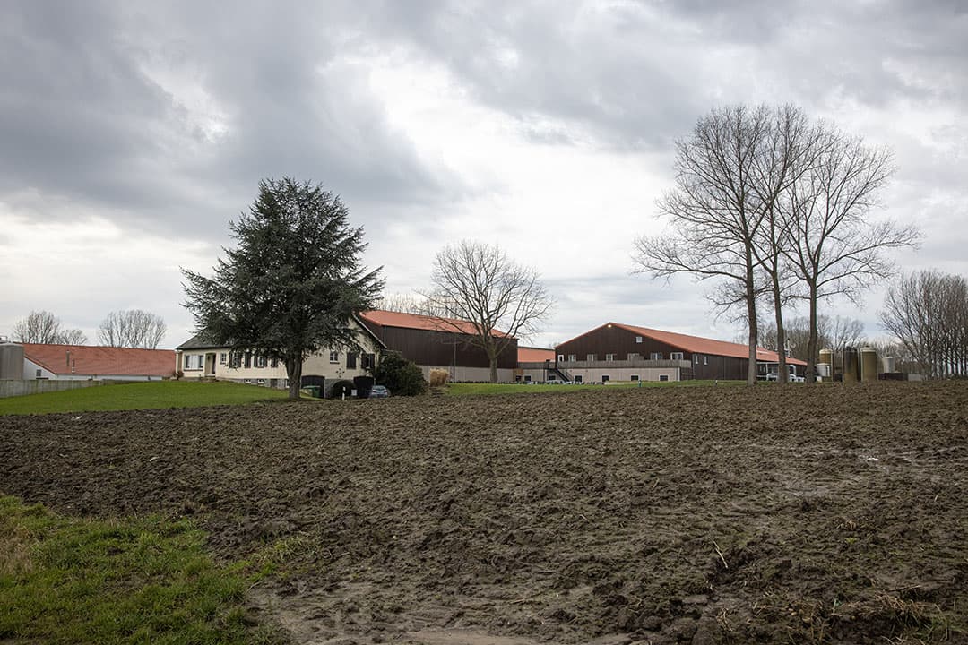 Foto: Peter Roek