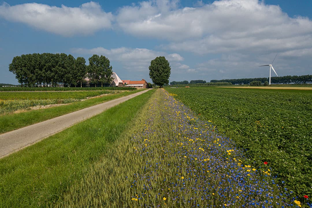 Foto: Peter Roek