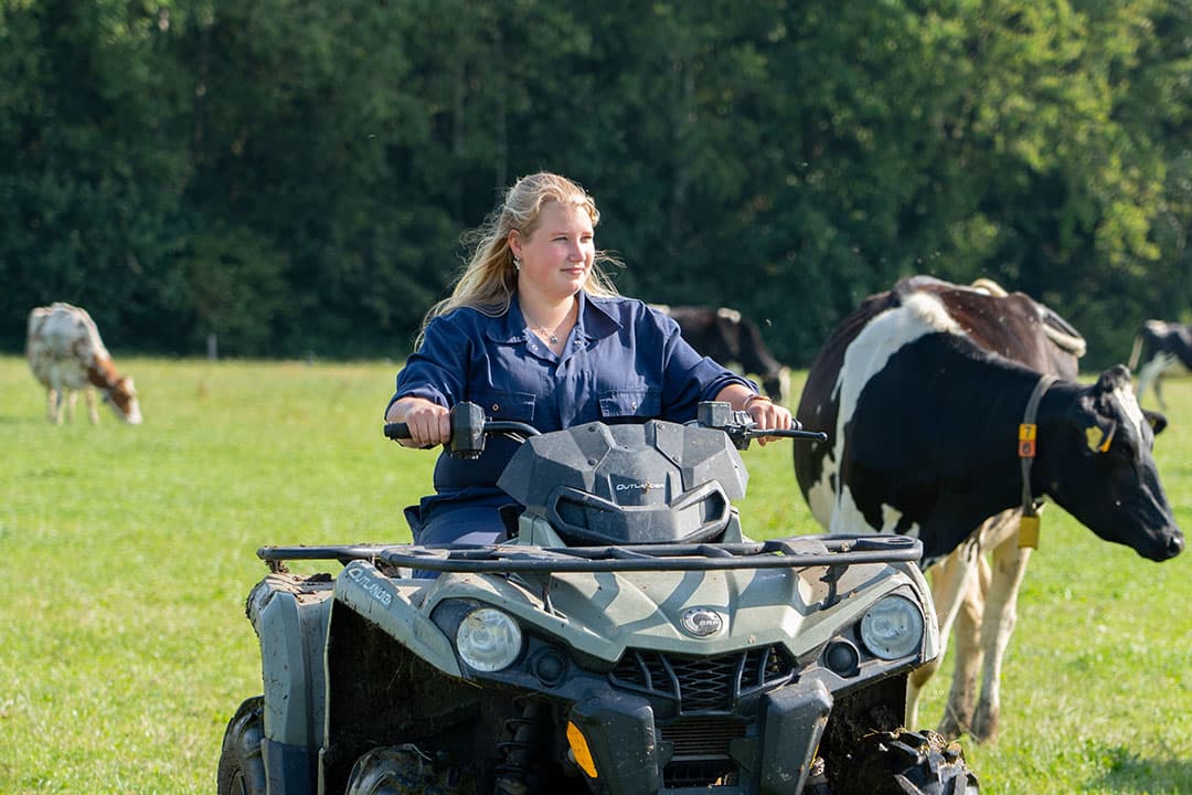 biologische melkveehouderij