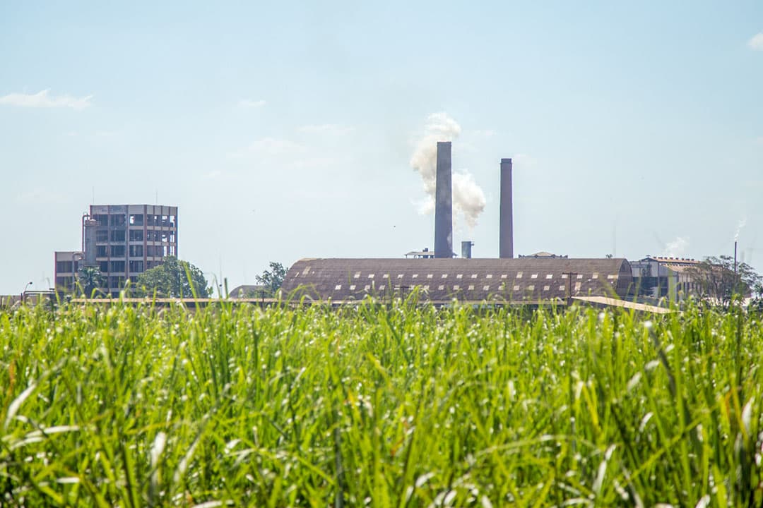 Productie van suiker. - Foto: Canva