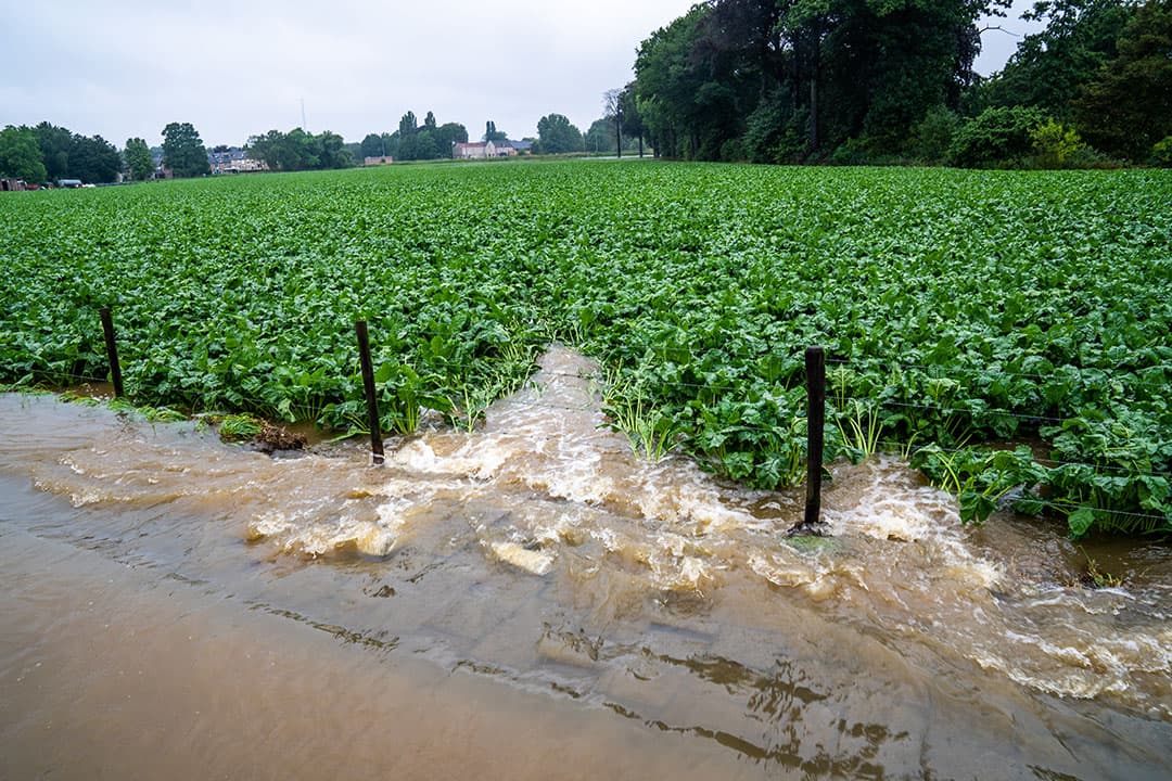 waterschade verzekeringen