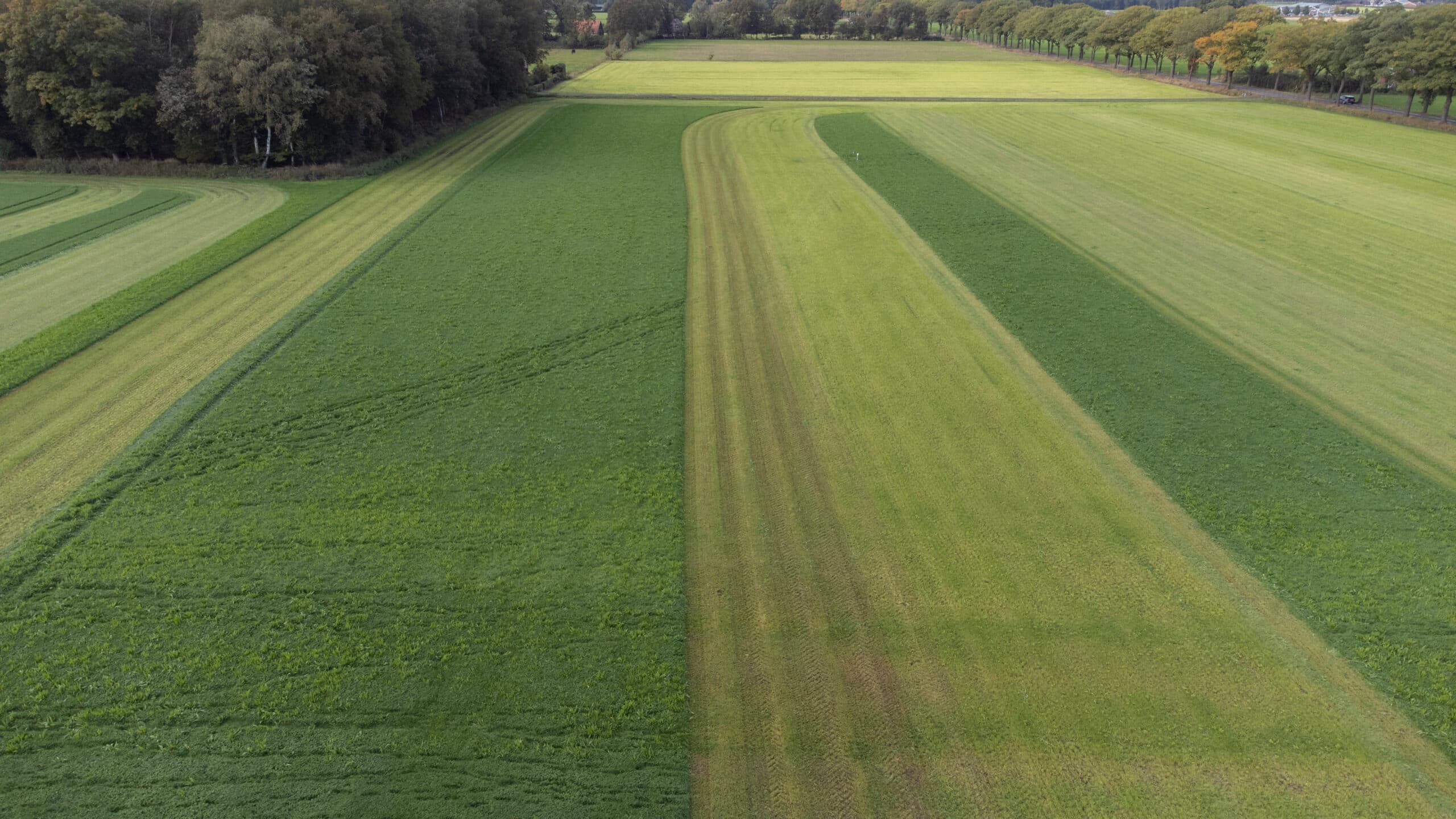 Rechter hekelt speculatieve verkoop landbouwgrond