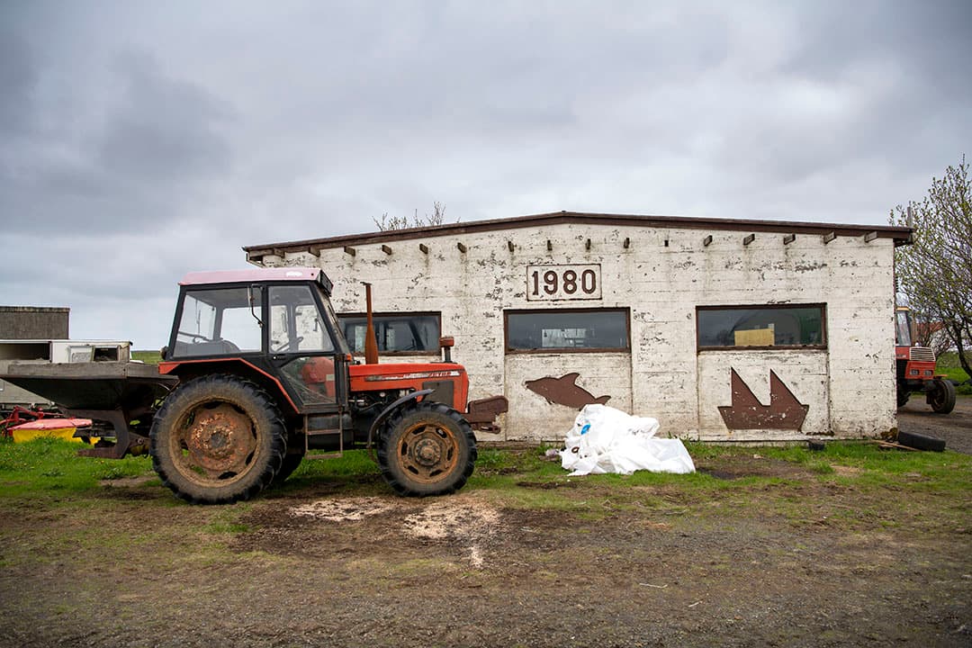 Gezien bij een aardappelteler in Þykkvibær: twee Zetor-trekkers die net klaar zijn met kunstmest strooien. In de verte zien we op het land een Zetor met pootgoed.