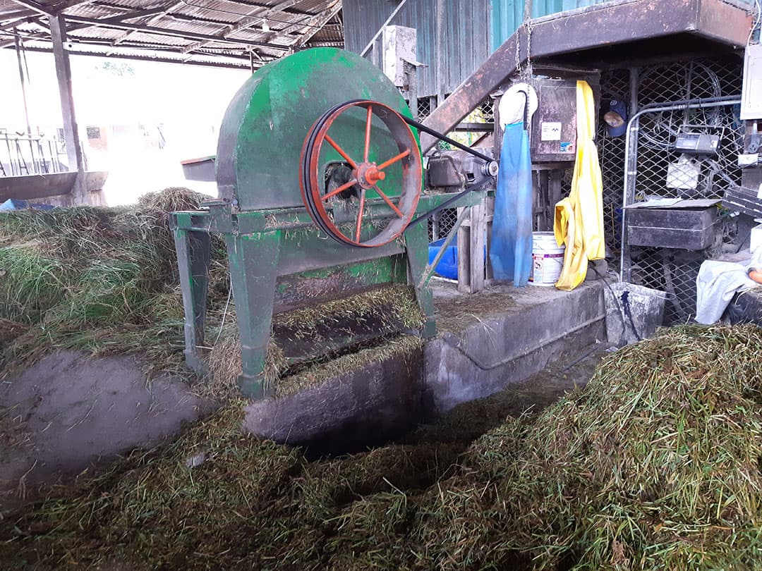 Machinaal wordt het gras versneden tot vreetbare lengte voor het vee.