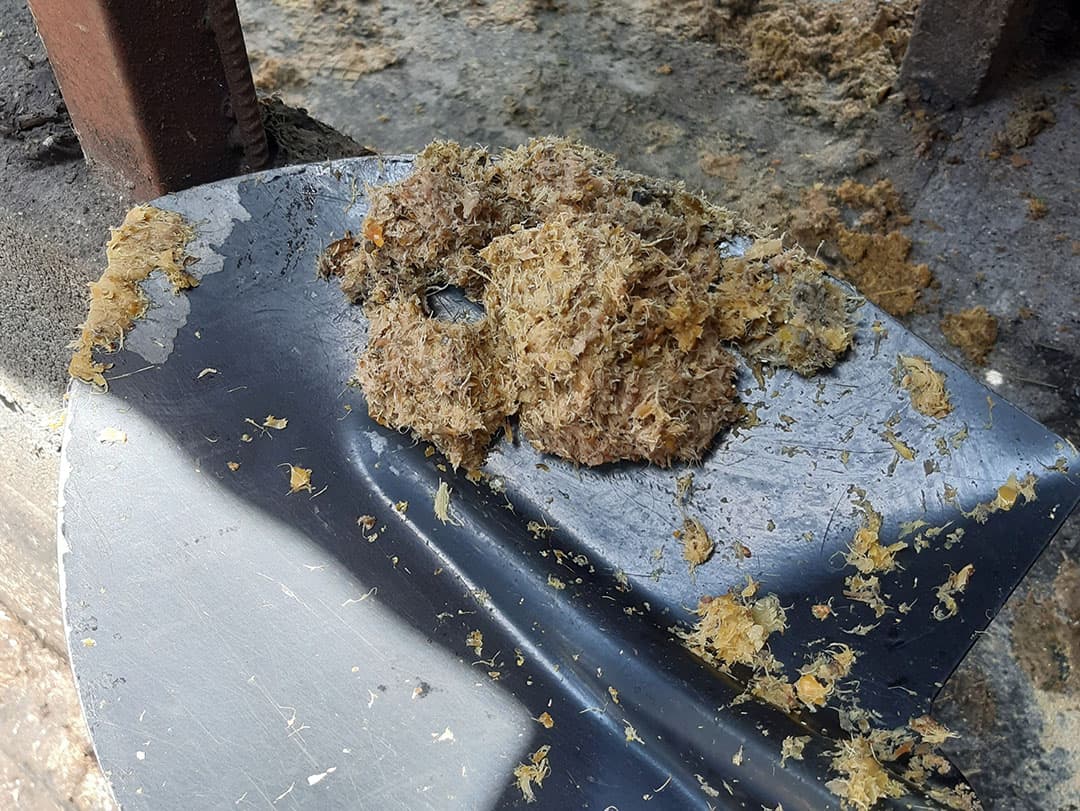 Op een bedrijf kwamen we verse / vochtige citruspulp tegen. In dit geval pulp uit de sinaasappelindustrie.