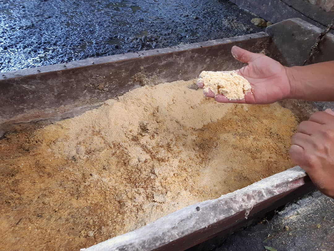 Geen maissillage maar maismeel wordt er ook verstrekt. Al met al veel zetmeel en suikerrijke producten naast het lange gras. Voor een goede penswerking wordt er ook rijstestro verstrekt.