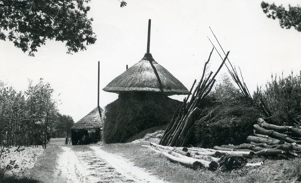 geriefhout